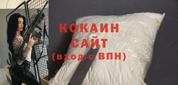 тгк Нея