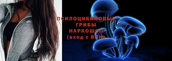 тгк Нея