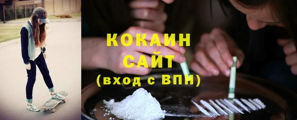 тгк Нея