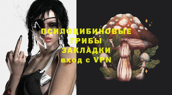 прущая мука Анива