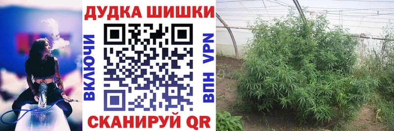 мориарти состав Южно-Сахалинск Марихуана OG Kush